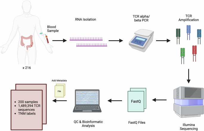 A Large-Scale Dataset of Pre-Treatment TCR Repertoires in Colorectal Cancer Patients