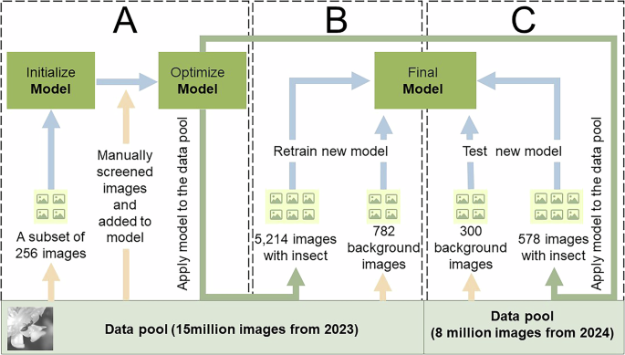 Identifying Cocoa Flower Visitors: A Deep Learning Dataset