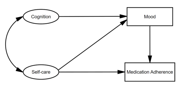 Cognition, mood, self-care, and medication adherence in hospitalized patients with heart failure: a cross-sectional study