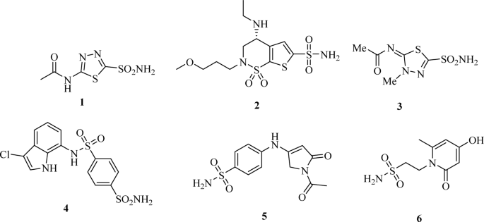 Facile synthesis of aminobiphenyl sulfonamides via Chan–Lam coupling and their biological evaluation as potent carbonic anhydrase inhibitors