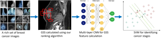 Learning quality-guided multi-layer features for classifying visual types with ball sports application