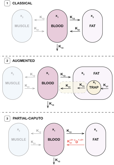 Modeling drug retention as memory effects in obese patients using fractional and augmented models
