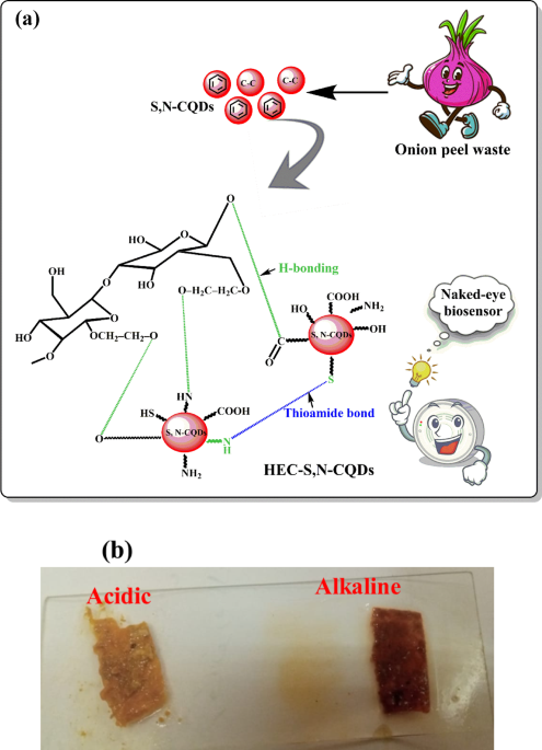 A novel anthocyanins hydroxyethyl cellulose film for intelligent chicken meat packaging with mechanical study, DFT calculations and molecular docking study