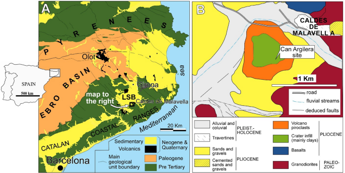 An unexpected Scalopini mole (Talpidae, Mammalia) from the Pliocene of Europe sheds light on the phylogeny of talpids