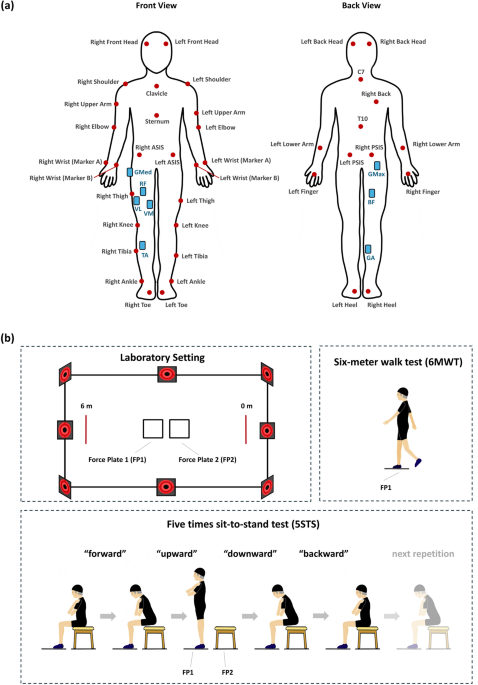 Lower extremity muscle activation patterns in sarcopenic older adults during physical performance tests: implications for rehabilitation approaches