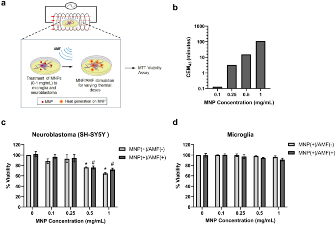 Localized brain stimulation with mild magnetic hyperthermia promotes microglia activity towards reactive and autophagic phenotypes in vivo