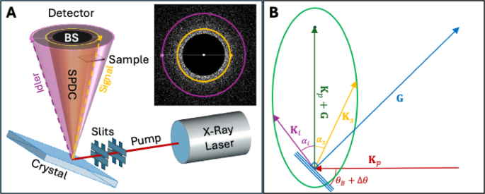 Advancing X-ray quantum imaging through Monte-Carlo simulations