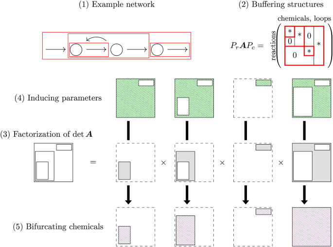Uncovering bifurcation behaviors of biochemical reaction systems from network topology