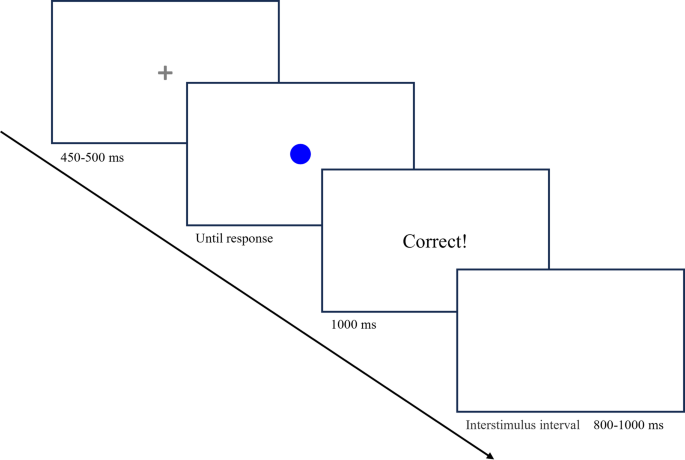 The joint effect of feedback order and reward schemes on prevalence-induced perceptual decisions