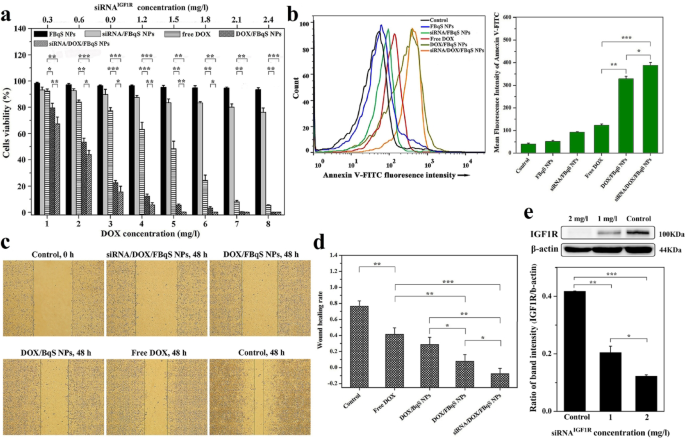 Nanocarrier mediated DOX/siRNA targeted co-delivery for synergistic treatment of cutaneous melanoma in outdoor athletes