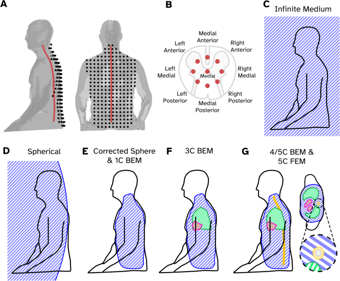Volume conductor models for magnetospinography