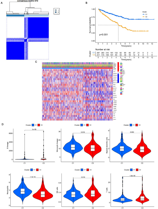 Mitophagy related gene signature for prognosis and therapeutic evaluation in KIRC