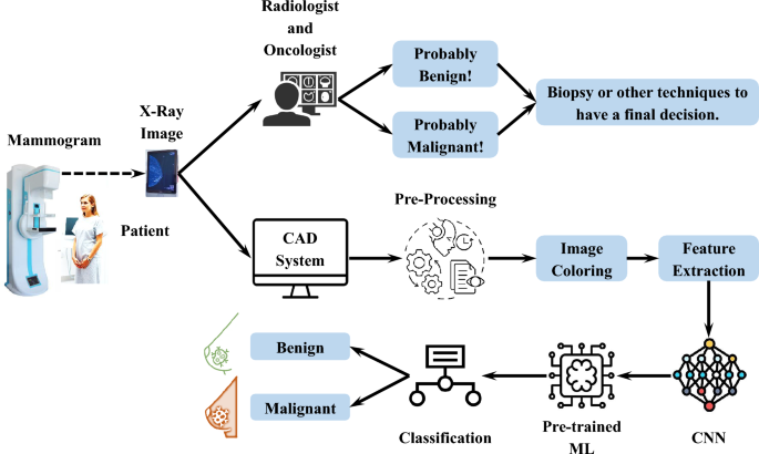 Breast lesion classification via colorized mammograms and transfer learning in a novel CAD framework