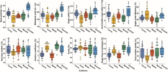 Cultivar specific nitrogen and potassium recommendations optimize yield and quality attributes in sugar beet