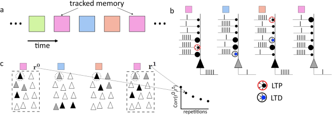 Representational drift as the consequence of ongoing memory storage