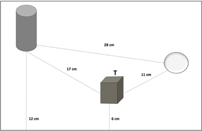 Cognitive load in switching between egocentric and allocentric spatial frames of reference: a pupillometry study