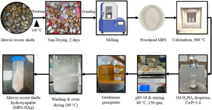 Adsorptive removal of fluoride from water using hydroxyapatite synthesized from marine shell waste