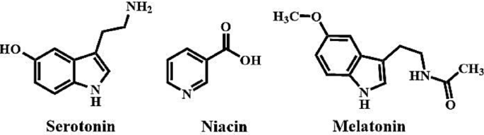 Novel L-tryptophan-functionalized zirconium dioxide nanoparticles catalysed one-pot and solvent-free synthesis of 2 H-indazolo [2, 1-b] phthalazine-triones