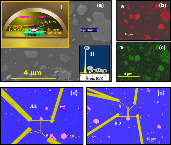 Proximity induced signatures of elusive Bose metal phase in topological insulator- superconductor junction