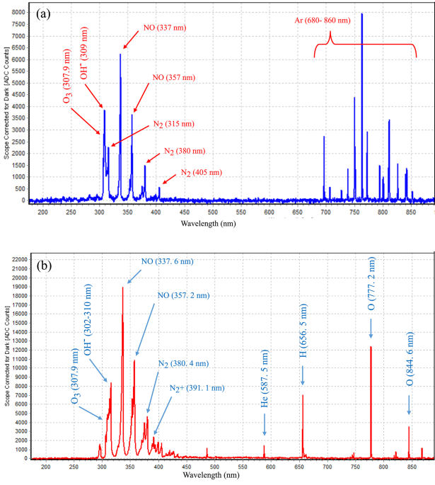 The in vitro potential of non-thermal atmospheric pressure plasma against Nosema ceranae infection in honeybees (Apis mellifera)