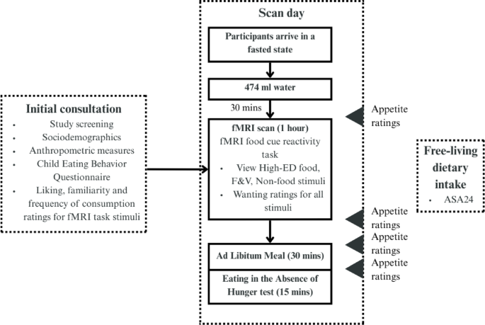 Neural responsivity to food cues varies with food fussiness in adolescents