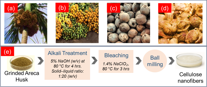 Optimisation of areca nut husk-derived cellulose nanofibers for enhancing the mechanical properties of epoxy composites using response surface methodology