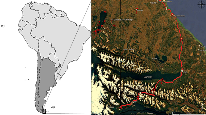 Preliminary findings from a pilot moss biomonitoring study in the Patagonia region
