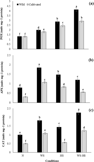 Contribution of phenolic compounds and hormones in antioxidant defense responses of wild and cultivated barley genotypes under drought and heat stress