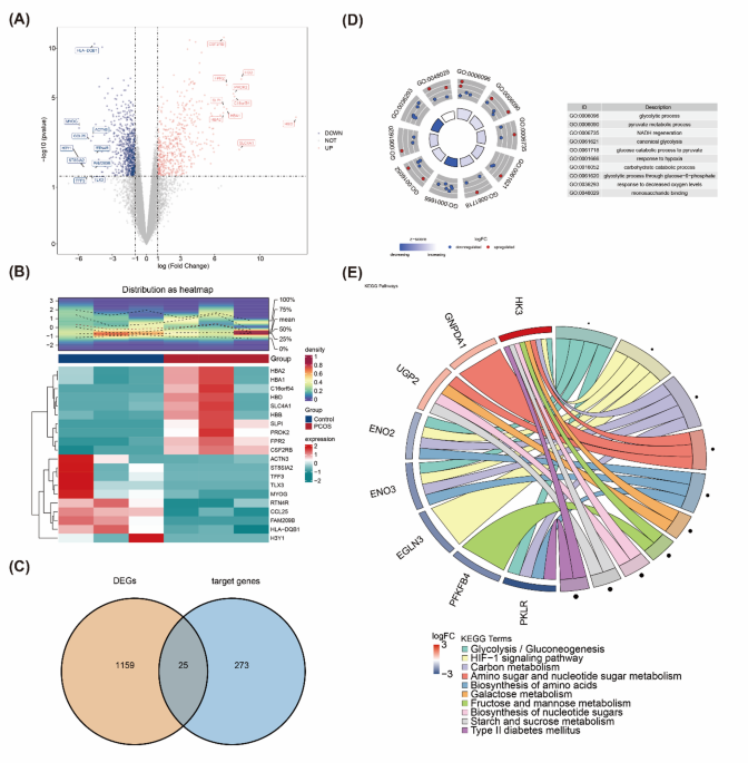 Identification and validation of biomarkers associated with glycolysis in polycystic ovarian syndrome