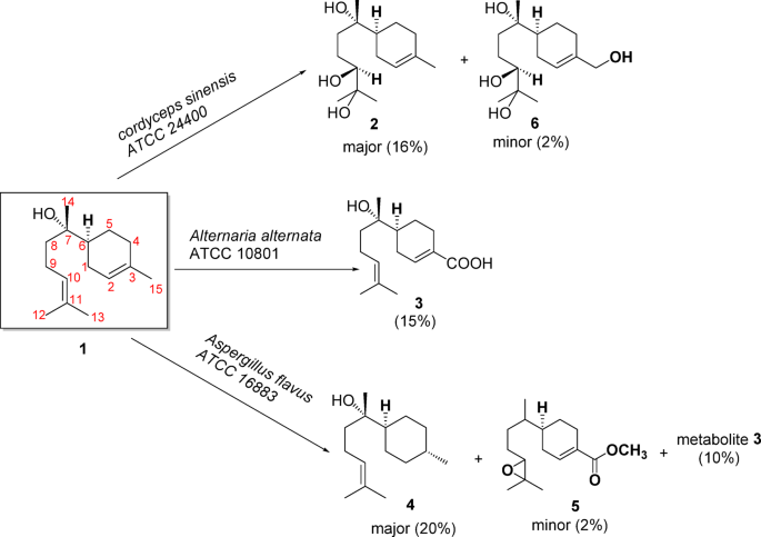 In vitro and in silico neuroprotective evaluation of new biotransformation metabolites of (-)-α-bisabolol