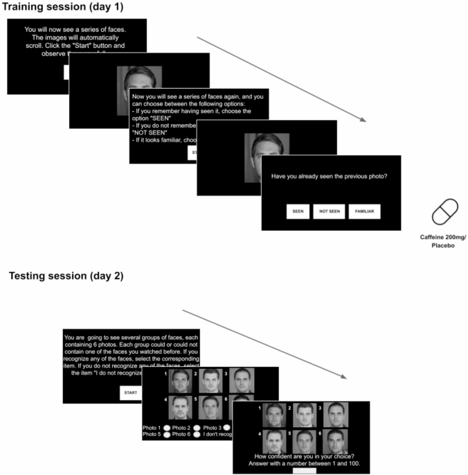 Caffeine reduces accuracy in face recognition memory consolidation