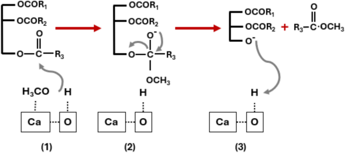Optimized transesterification of unrefined palm and waste cooking oil blend to biodiesel using cement kiln dust catalyst