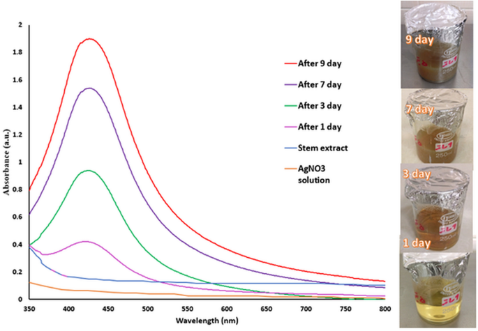 Comparison of anti-biofilm and cytotoxic activity of Ag/AgO, Ag/Ag2O, and Ag/AgCl nanocomposites synthesized using stem, leaf, and fruit pericarp of Prunus mahaleb L