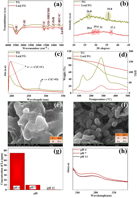 Fabrication of an inorganic-organic hybrid based on lanthanum and trigonella grandiflora extract as an innovative corrosion inhibitor