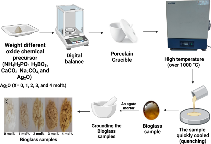 Removal of E. coli O157:H7 coliform bacteria from sewage wastewater using silver doped borate bioglass