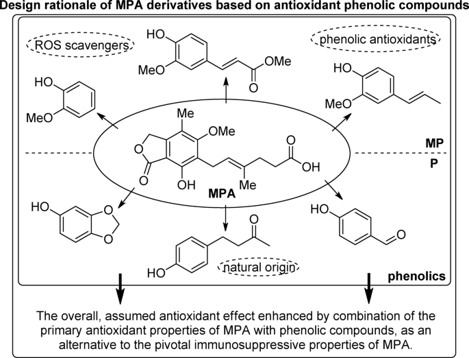 Direct synthesis of mycophenolic acid aryl esters with antioxidant and antiproliferative properties