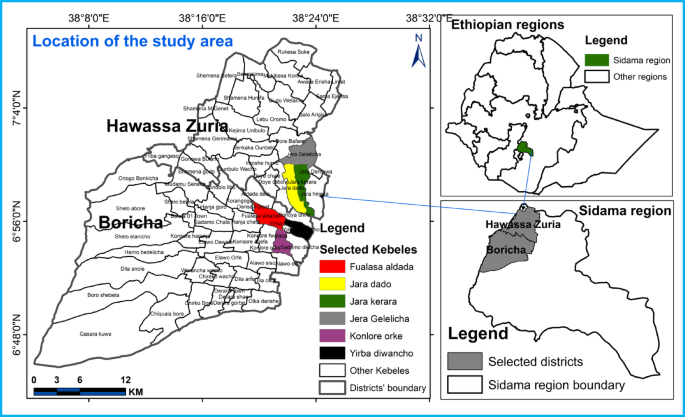 Impacts of climate variability and adaptation strategies on staple crop productivity in Sidama, Ethiopia