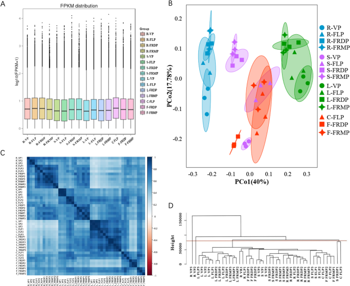 Spatiotemporal dynamics of benzylisoquinoline alkaloid gene expression and co-expression networks during Papaver Somniferum developmental stages