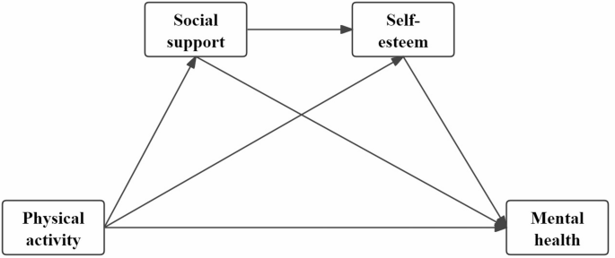 The influence of physical activity on the mental health of high school students: the chain mediating effects of social support and self-esteem