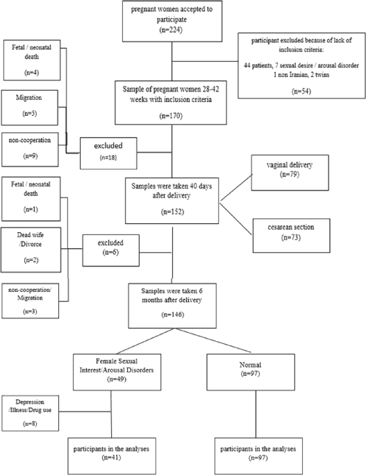 Predicting postpartum female sexual interest/arousal disorder via adiponectin and biopsychosocial factors: a cohort-based decision tree study