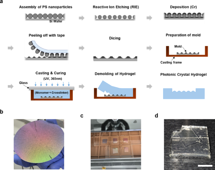 Photonic crystal hydrogels based on highly reproducible molding method