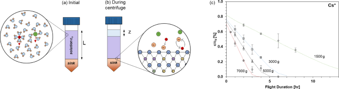 Gravitation-biased ion migration in aqueous solutions