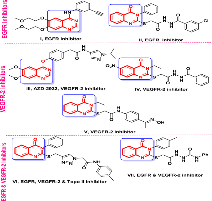 Design, antiproliferative potency, and in silico studies of novel 5-methylfuran-3-yl)thio)-3-phenylquinazolin-4(3H)-one based derivatives as potential EGFR inhibitors