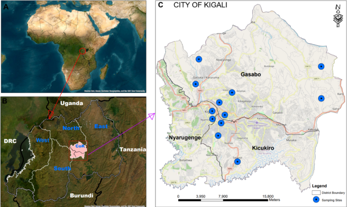 Heatwaves amplify air pollution risks in Sub-Saharan Africa
