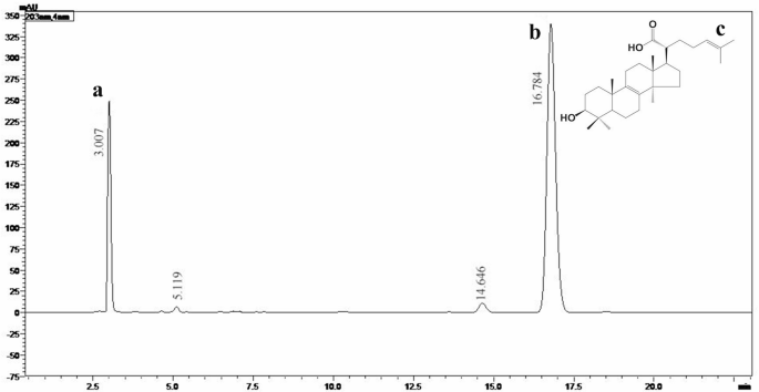 Comparative transcriptome analysis reveals the potential mechanism of seed germination promoted by trametenolic acid in Gastrodia elata Blume