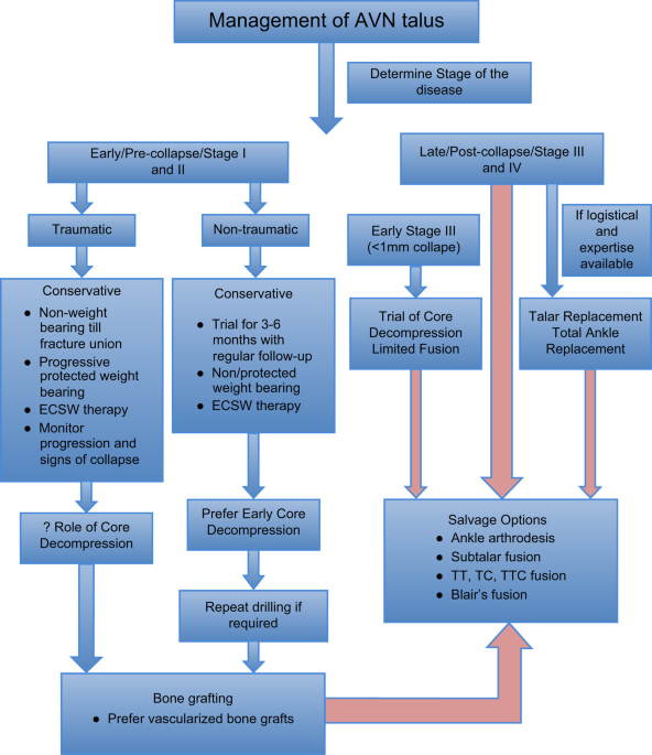 Clinical short-term analysis and effectiveness evaluation of optimally designed customized artificial talus implants