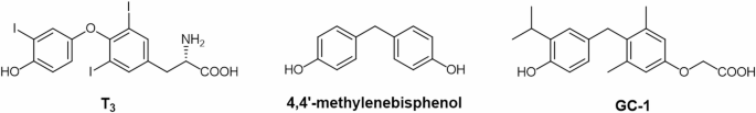 An improved synthesis of TRβ-selective thyromimetic GC-1