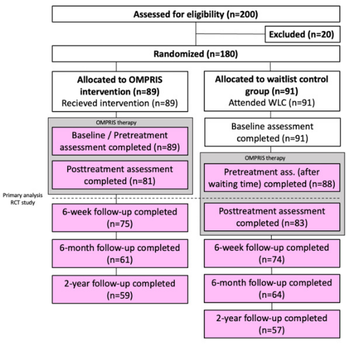 A 2-year follow-up analysis of individuals with internet use disorders treated with the webcam-based telemedicine OMPRIS intervention