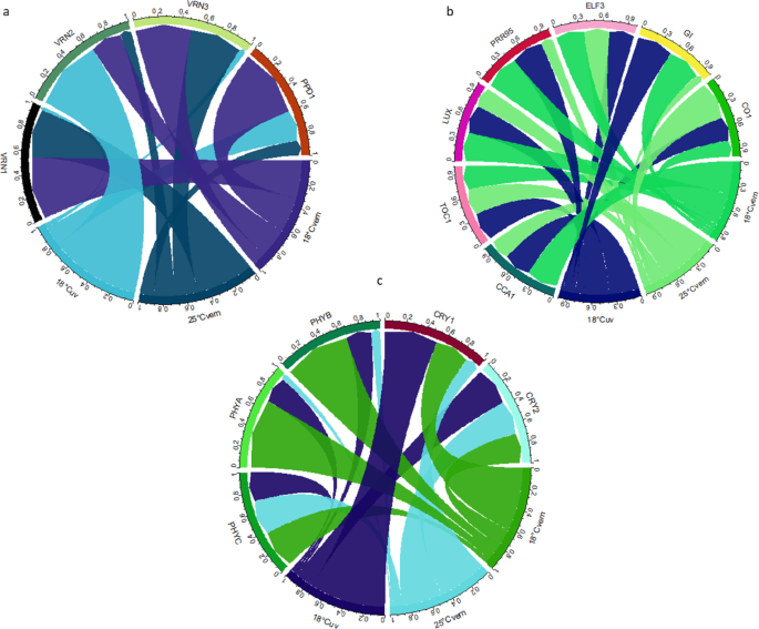 Ambient temperature influenced co-expression network of major developmental, circadian, and photoreceptor genes in bread wheat