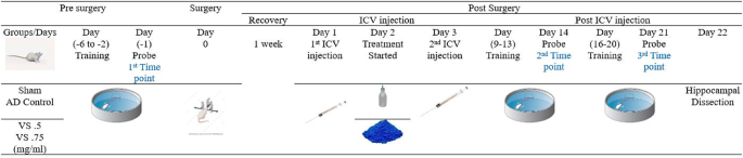 Vanadyl sulfate restores memory impairment in streptozotocin-induced rat model of sporadic alzheimer’s disease by repressing FoxO1 gene expression